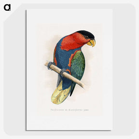 1-23_Parrots-in-Captivity_picture