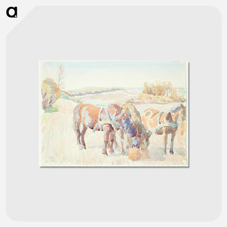 アートポストカード-Horses in the Field
 - ピーター ハンセン Postcard.