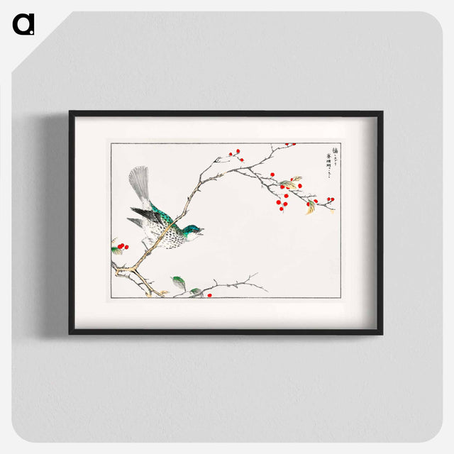 アートポスター-Brown-eared Bulbul and Dioecious Holly
 - 鳥類図鑑 Poster.