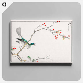 アートパネル-Brown-eared Bulbul and Dioecious Holly
 - 鳥類図鑑 Canvas.