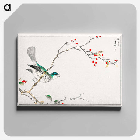 アートパネル-Brown-eared Bulbul and Dioecious Holly
 - 鳥類図鑑 Canvas.