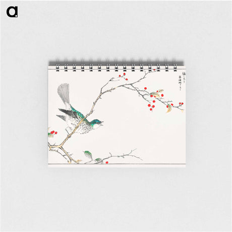 アートメモ帳-Brown-eared Bulbul and Dioecious Holly
 - 鳥類図鑑 Memo.