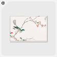 アートポストカード-Brown-eared Bulbul and Dioecious Holly
 - 鳥類図鑑 Postcard.
