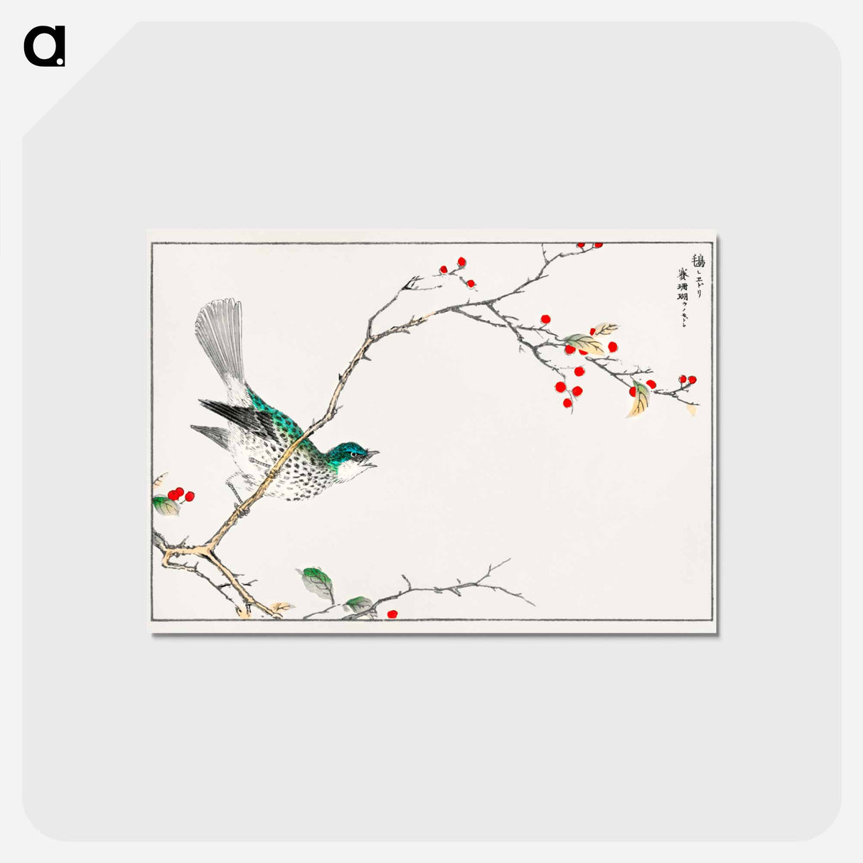 アートポストカード-Brown-eared Bulbul and Dioecious Holly
 - 鳥類図鑑 Postcard.