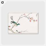 アートポストカード-Brown-eared Bulbul and Dioecious Holly
 - 鳥類図鑑 Postcard.