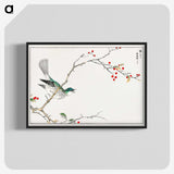1-23_Pictorial-Monograph-of-Birds_blk-crop