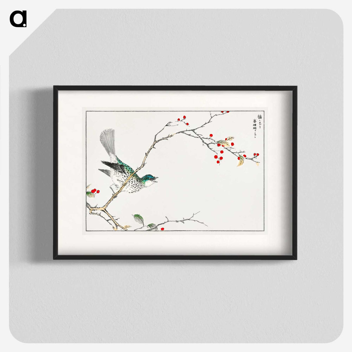 1-23_Pictorial-Monograph-of-Birds_blk