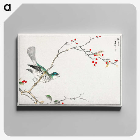 1-23_Pictorial-Monograph-of-Birds_canvas
