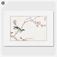 1-23_Pictorial-Monograph-of-Birds_picture