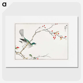 1-23_Pictorial-Monograph-of-Birds_picture