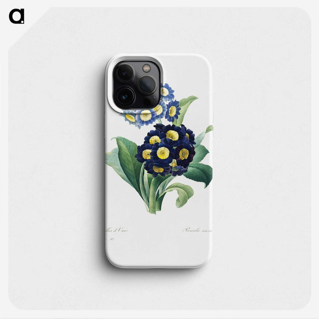 1-23_Pierre-Joseph-Redoute_phone