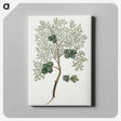 1-23_Robert-Jacob-Gordon_canvas