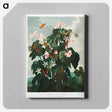 アートパネル-Oblique-Leaved Begonia
 - ロバート ジョン ソーントン Canvas.