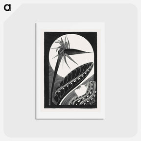 アートポストカード-Strelitzia Overblown
 - サミュエル ジェスルン Postcard.