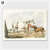 1-23_Sporting-Sketches_picture-crop