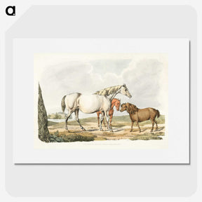 1-23_Sporting-Sketches_picture