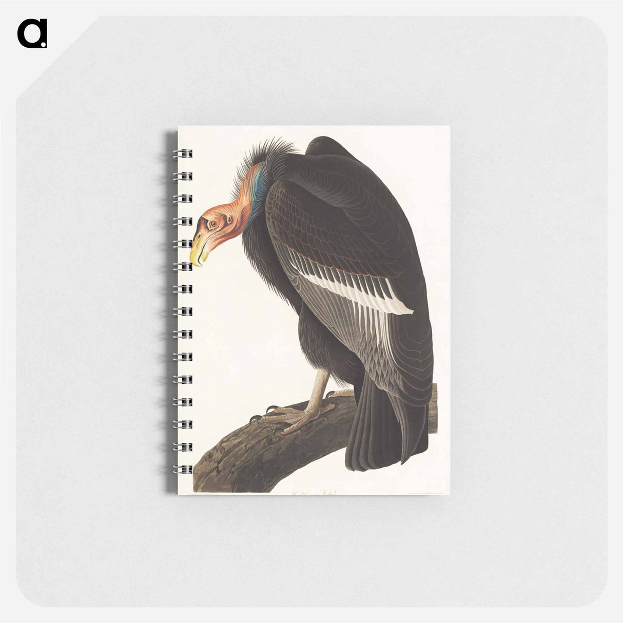 アートメモ帳-Californian Vulture from Birds of America
 - アメリカの鳥たち Memo.