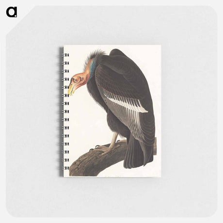 アートメモ帳-Californian Vulture from Birds of America
 - アメリカの鳥たち Memo.