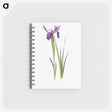 1-23_The-Genus-Iris_memo