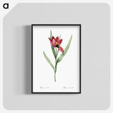 1-23_The-Lilies_blk-crop
