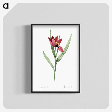 1-23_The-Lilies_blk-crop