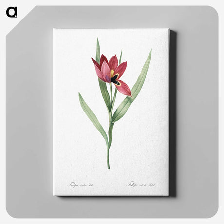 1-23_The-Lilies_canvas