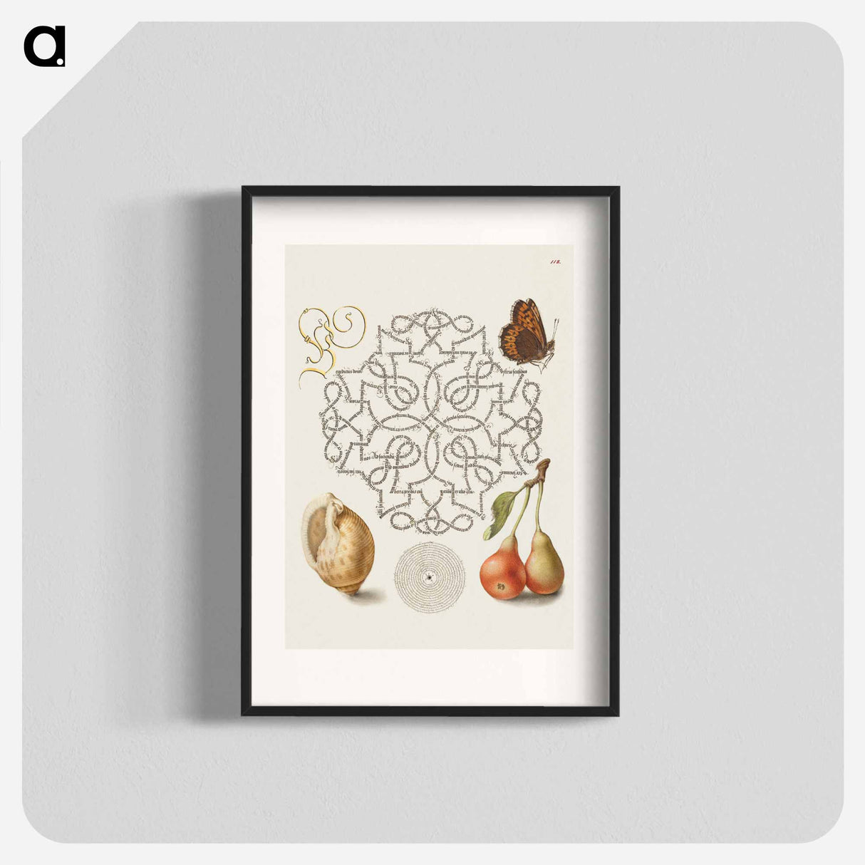 アートポスター-Butterfly, Marine Mollusk, and Pear
 - 書道のお手本 Poster.