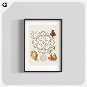 アートポスター-Butterfly, Marine Mollusk, and Pear
 - 書道のお手本 Poster.