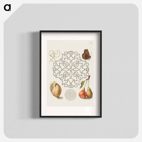 アートポスター-Butterfly, Marine Mollusk, and Pear
 - 書道のお手本 Poster.