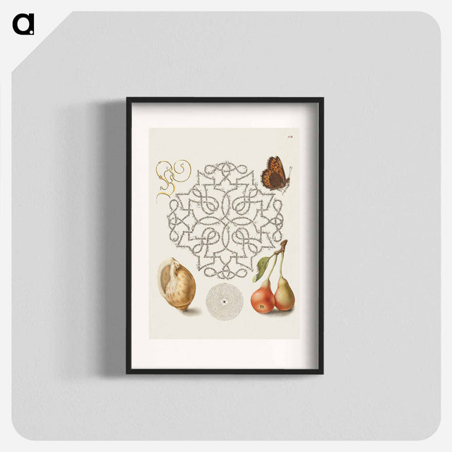 アートポスター-Butterfly, Marine Mollusk, and Pear
 - 書道のお手本 Poster.