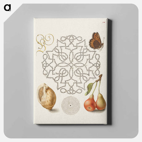 アートパネル-Butterfly, Marine Mollusk, and Pear
 - 書道のお手本 Canvas.