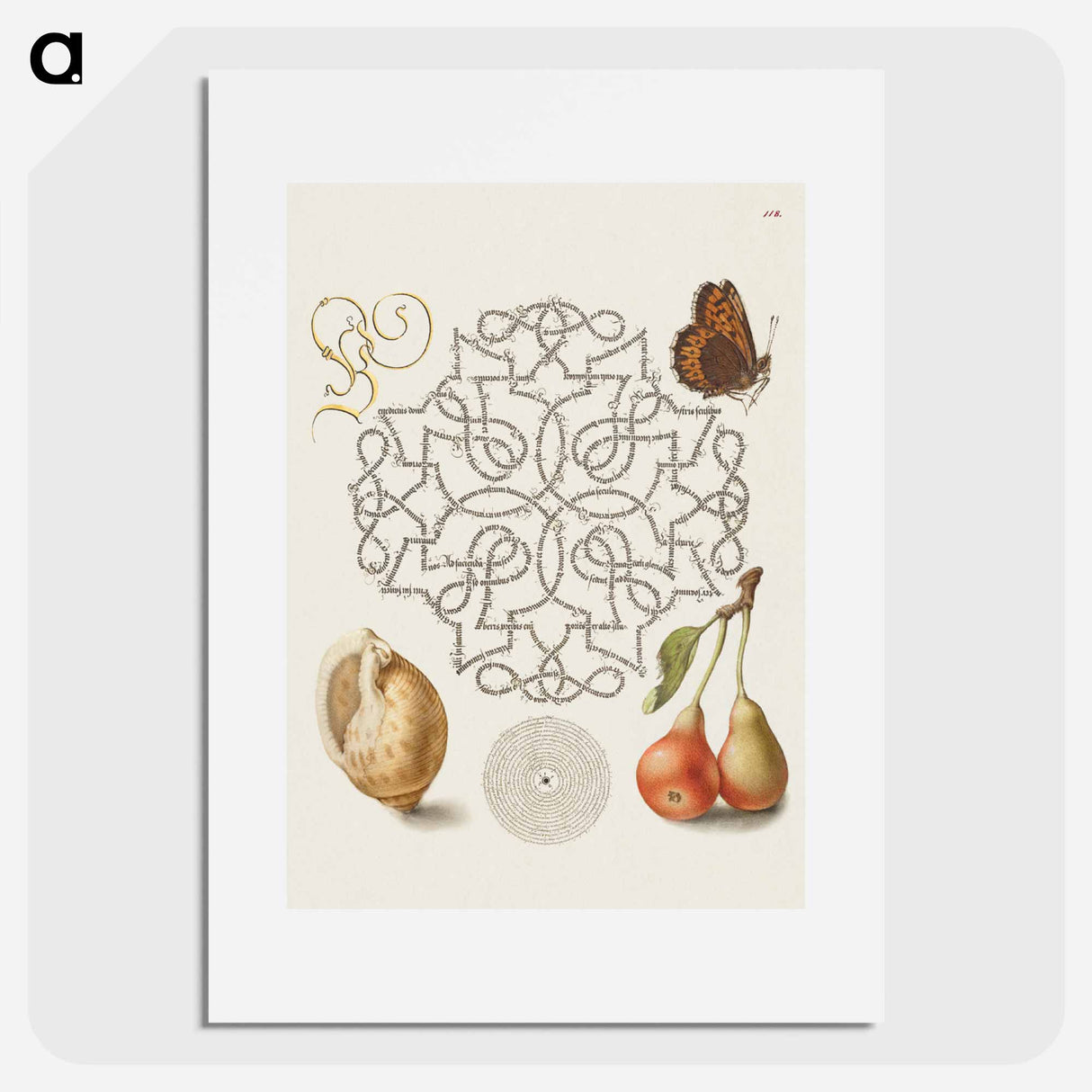 アートポスター-Butterfly, Marine Mollusk, and Pear
 - 書道のお手本 Poster.