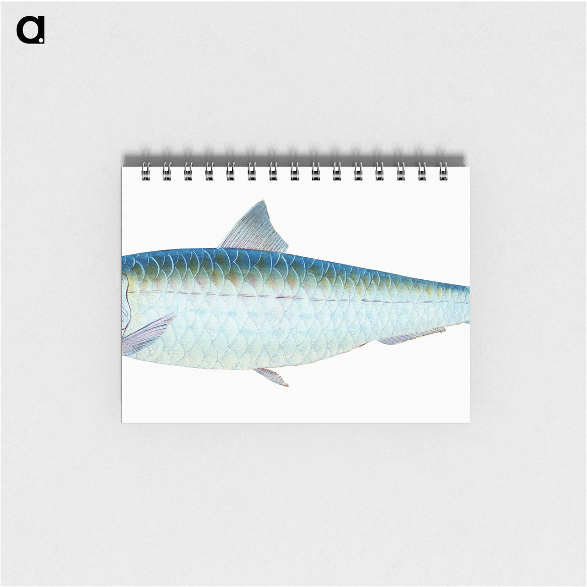 1-23_The-Natural-History-of-British-Fishes_memo