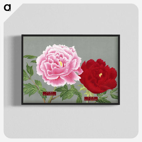 1-23_The-Picture-Book-of-Peonies_blk-crop