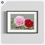 1-23_The-Picture-Book-of-Peonies_blk