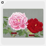1-23_The-Picture-Book-of-Peonies_picture-crop