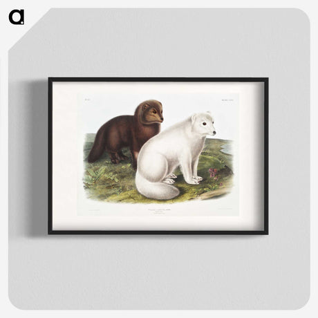 1-23_The-Viviparous-Quadrupeds_blk