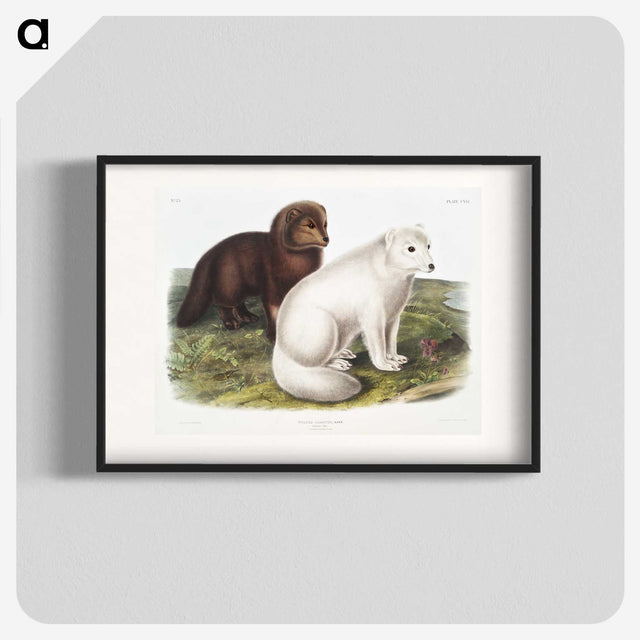 1-23_The-Viviparous-Quadrupeds_blk