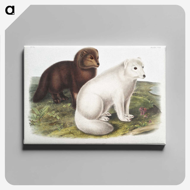 1-23_The-Viviparous-Quadrupeds_canvas