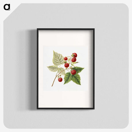 1-23_USDA-Watercolor-Fruit-Painting-Collection_blk