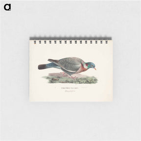 アートメモ帳-Common wood pigeon - ヴィルヘルム フォン ライト Memo.