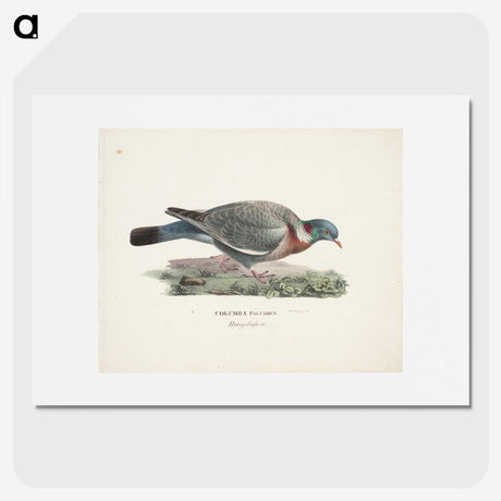 1-23_Wilhelm-von-Wright_picture
