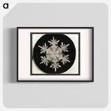 Wilson Bentley Photomicrograph of Stellar Snowflake No. 1018 - ウィルソン ベントレー Poster.