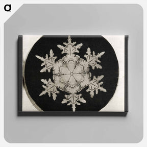 アートパネル-Wilson Bentley Photomicrograph of Stellar Snowflake No. 1018 - ウィルソン ベントレー Canvas.