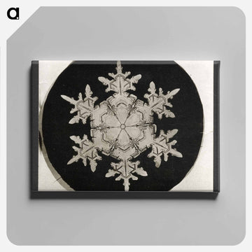 Wilson Bentley Photomicrograph of Stellar Snowflake No. 1018 - ウィルソン ベントレー Canvas.