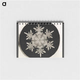 Wilson Bentley Photomicrograph of Stellar Snowflake No. 1018 - ウィルソン ベントレー Memo.