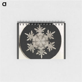 アートメモ帳-Wilson Bentley Photomicrograph of Stellar Snowflake No. 1018 - ウィルソン ベントレー Memo.