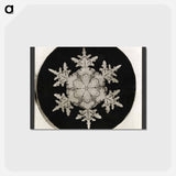 アートポストカード-Wilson Bentley Photomicrograph of Stellar Snowflake No. 1018 - ウィルソン ベントレー Postcard.