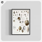 1-23_Zoology-of-New-York_blk-crop