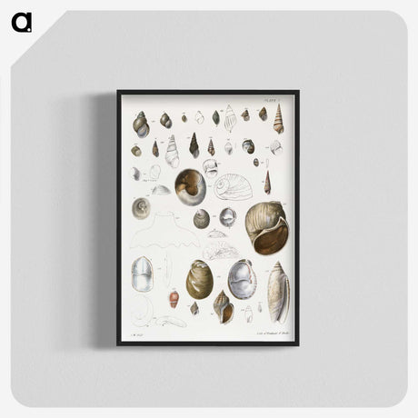 1-23_Zoology-of-New-York_blk-crop
